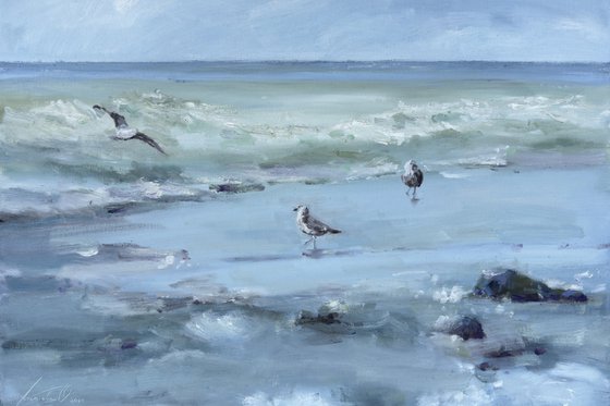 Seagulls on the sea