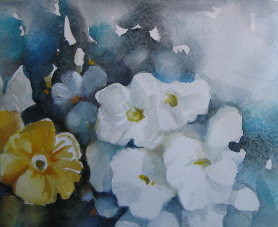Bloom