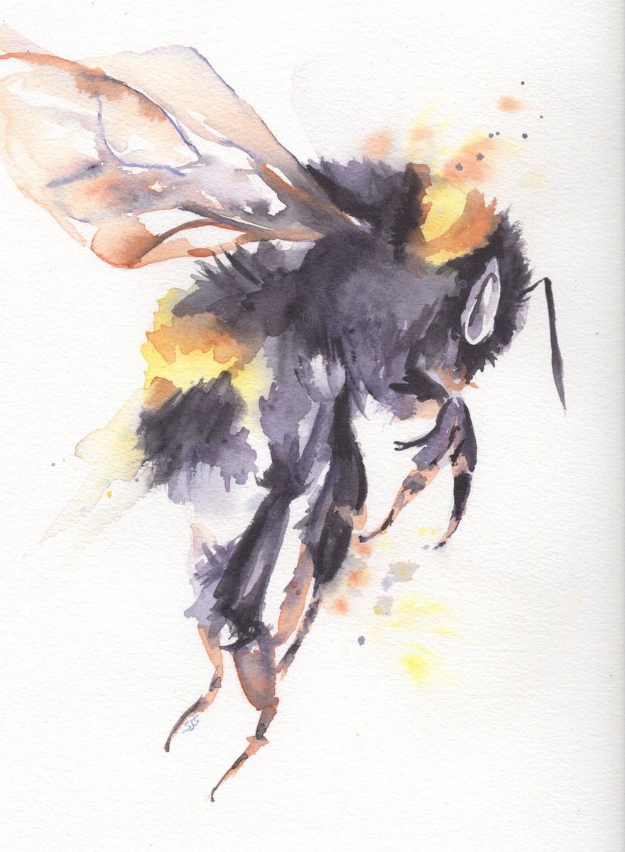Watercolour Bee 5 by Sarah Stowe