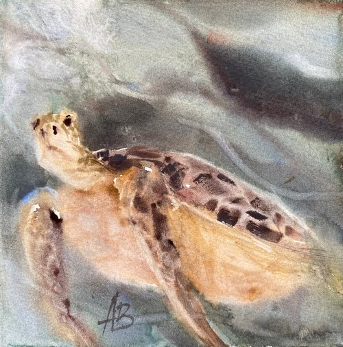 Turtle 3 by Anna Boginskaia