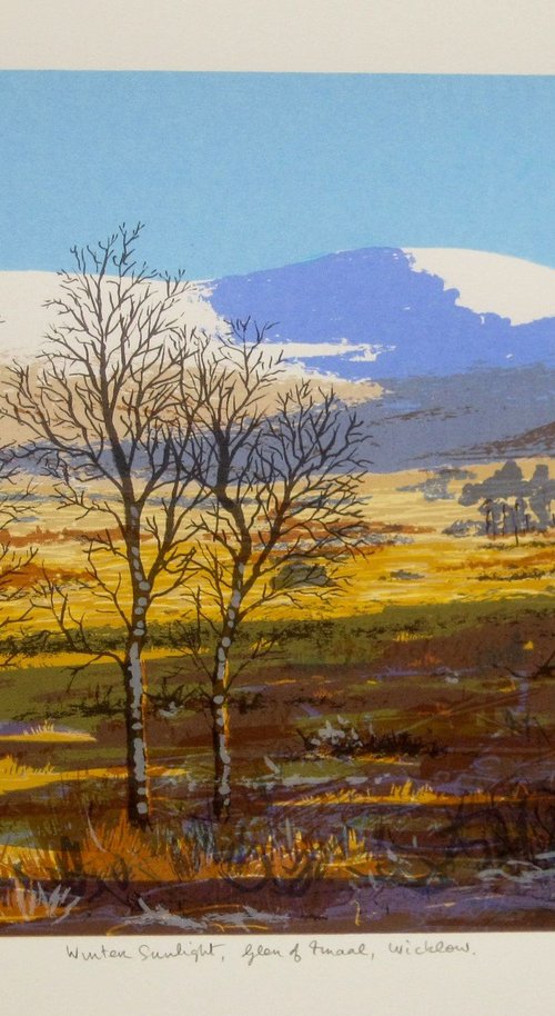 Winter Sunlight, Glen of Imaal by Aidan Flanagan Irish Landscapes