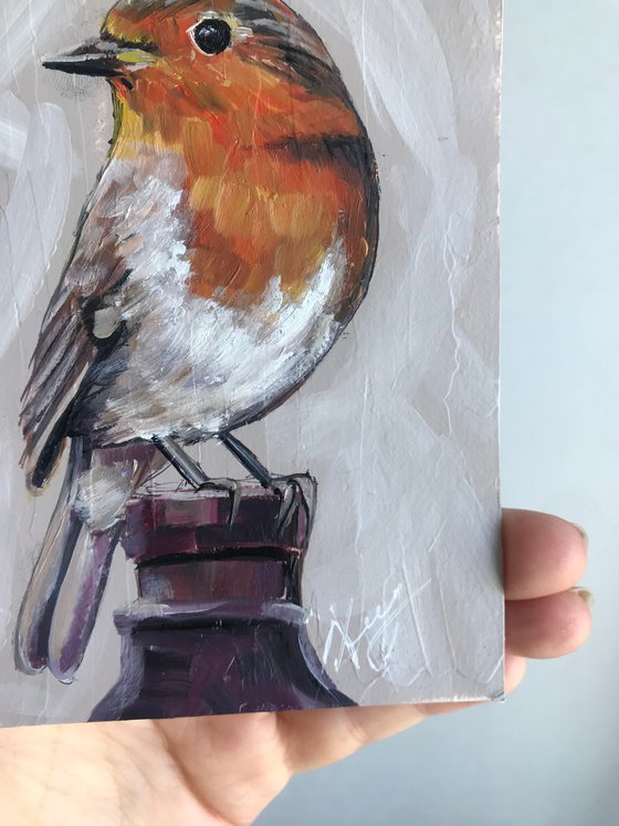 Bird Robin painting mini art framed 8х12cm