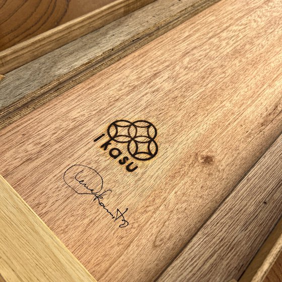 Pines through Seasons