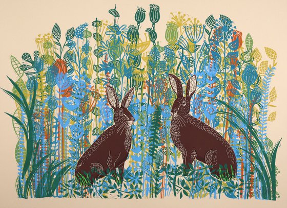 Hares in Meadow