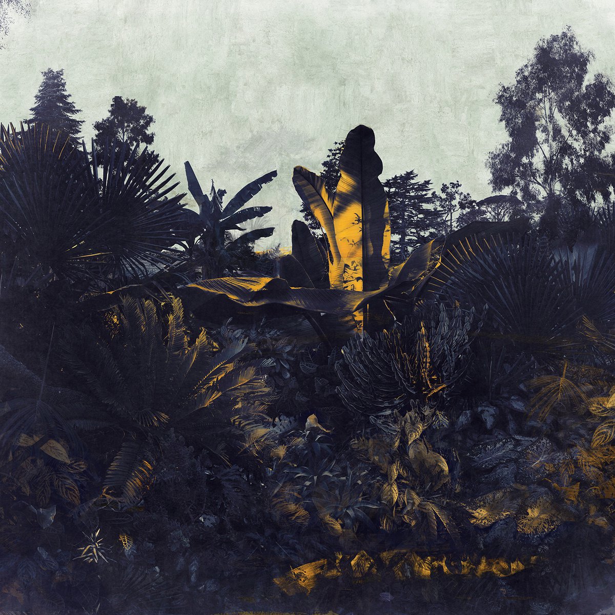 Impressionistic Landscape Photograph By Nadia Attura, 28 X 28", Kew Sunset, Original Artwork