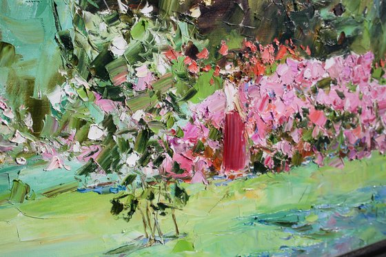 " My garden. Roses "