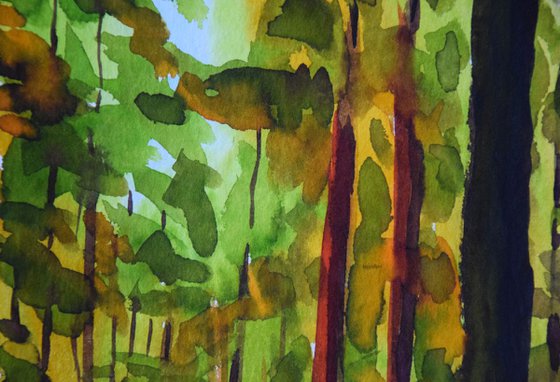 Norwegian watercolor painting Sunset forest, Sun through trees in Norway