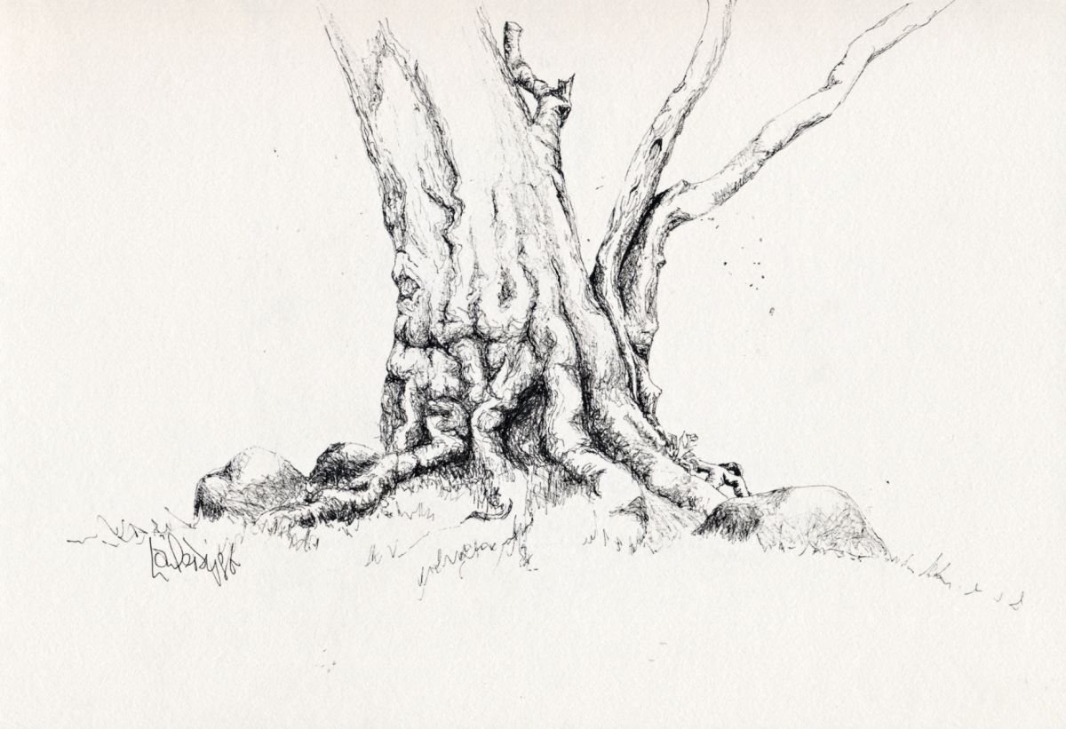 Tree #03 by Louise Diggle