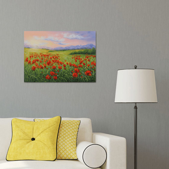 Poppy field in summer 4