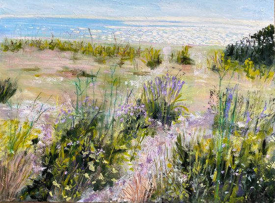 Early Morning Shoreline