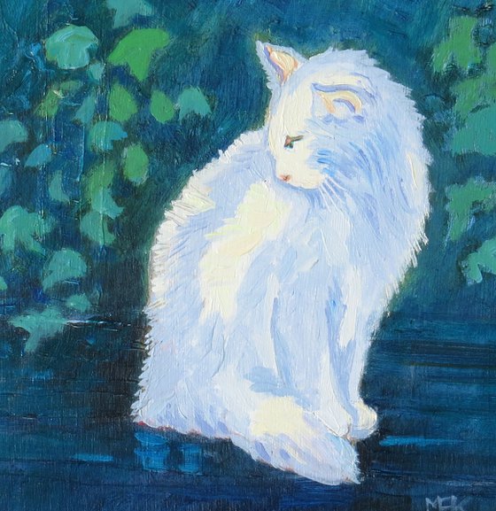 White Cat