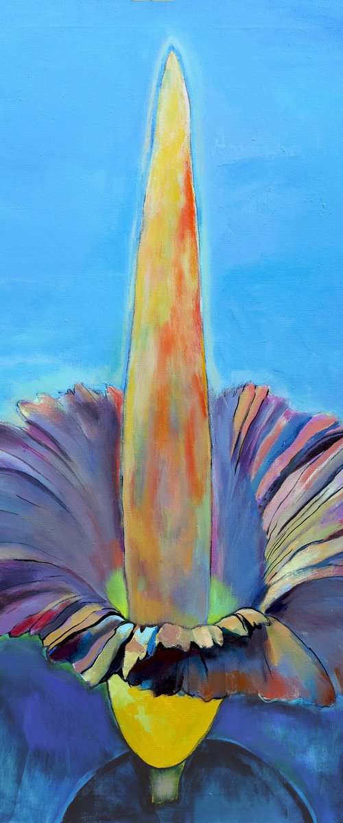 Amorphophallus Titanum by Artem Andreichuk