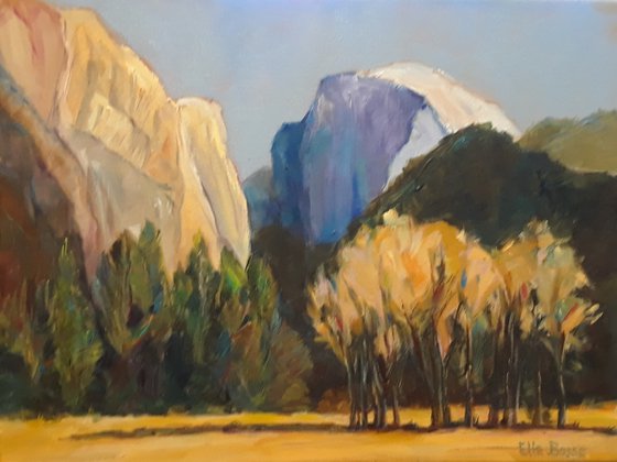 Yosemite valley meadow II