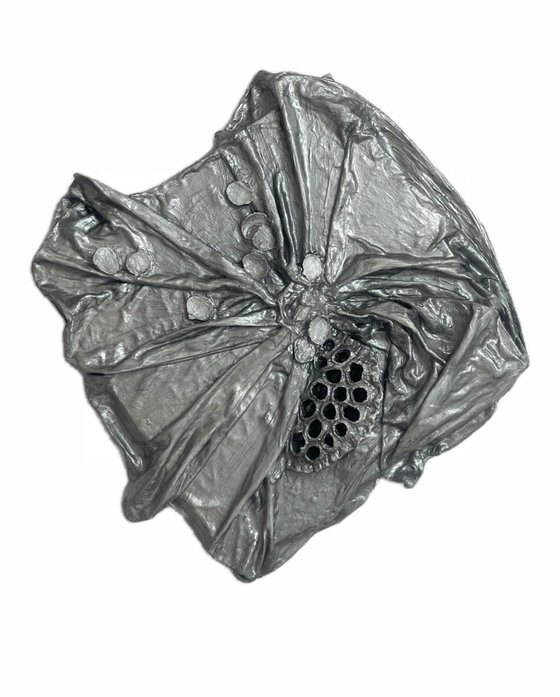 Silver leaf and lotus pod