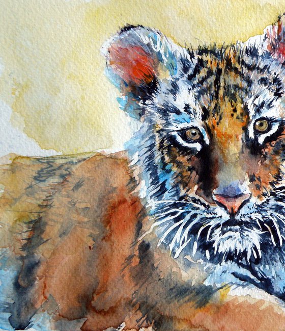 Tiger cub