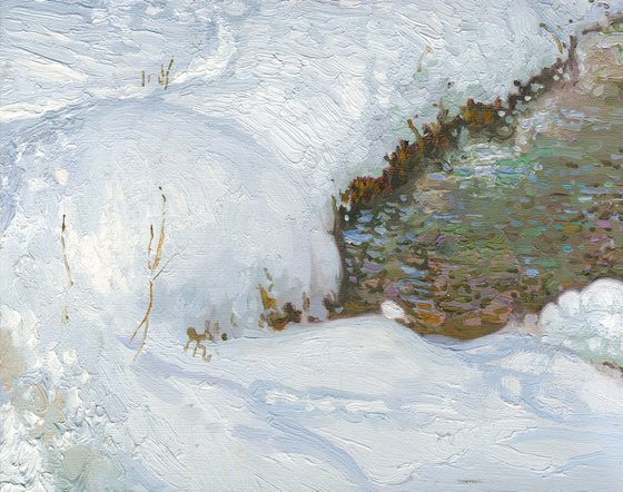 January snow on the Chertanovka River