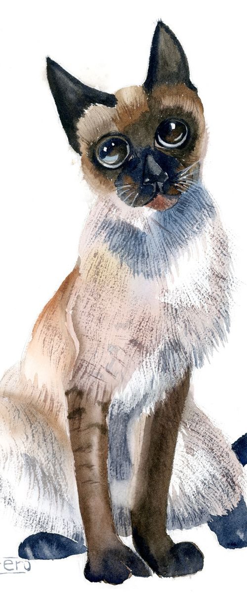 Siamese Cat Original Watercolor painting by Olga Tchefranov (Shefranov)