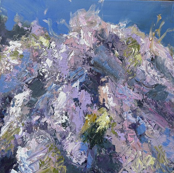 Wisteria