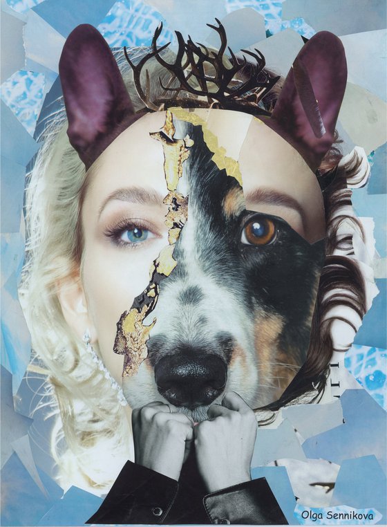 Puppy look/Collage