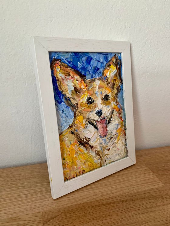 Corgi partrait