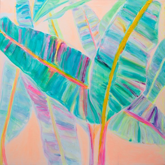 'Rainbow Banana Leaves'