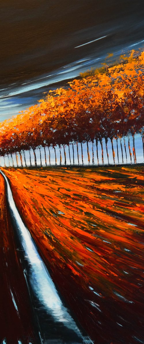 When the storm passes- Fields and Colors Series by Danijela Dan