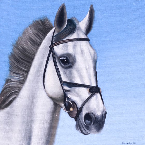 Horse Portrait 5