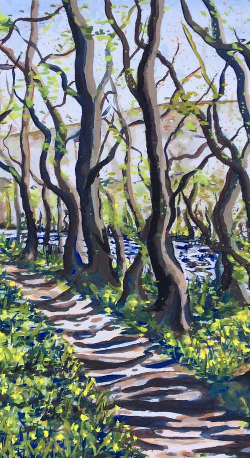 Dunsford Woods, Springtime by Lucy Smerdon