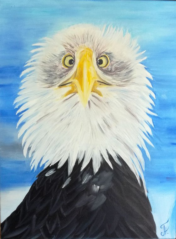 Guten morgen, gift, eagle, funny, oil art, original painting