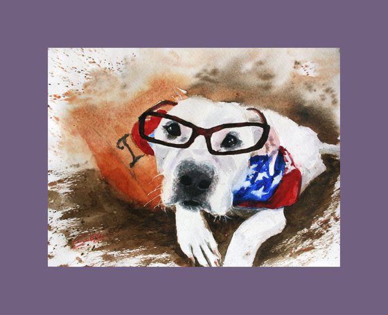 Pet portrait III. American bulldog... /  ORIGINAL PAINTING