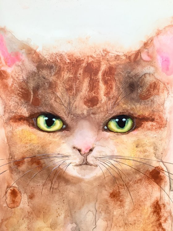 YELLOW KITTY