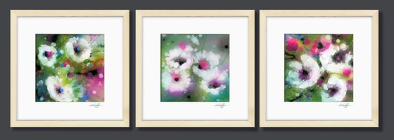 Floral Dream Collection 1 - 3 Framed Paintings
