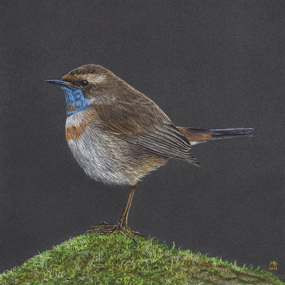 Original pastel drawing bird "Bluethroat"