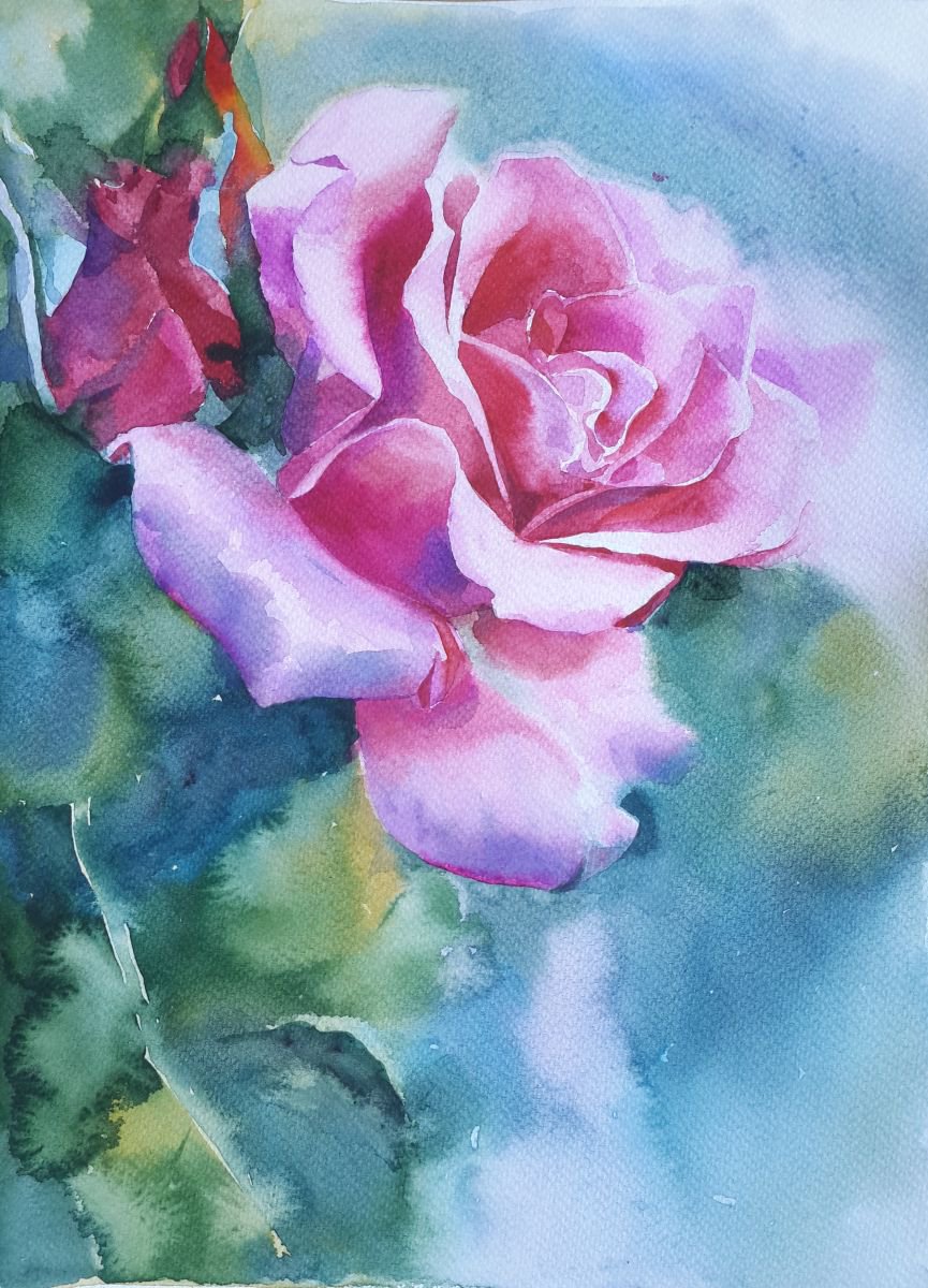 Rose#2 by Yuryy Pashkov