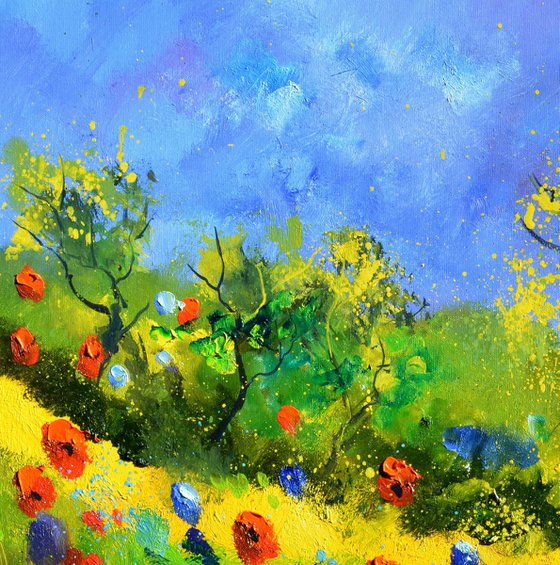 Red poppies 7788
