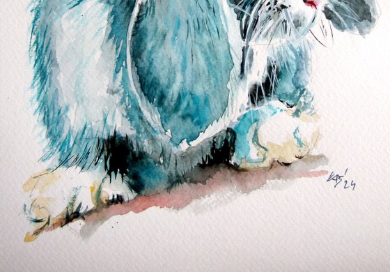 Cute rabbit