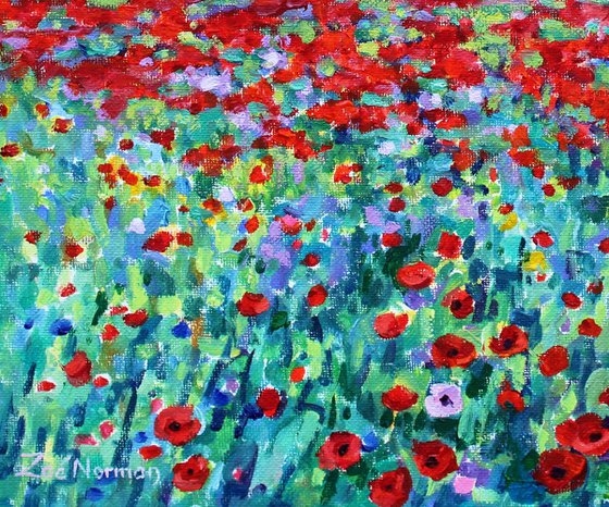 Evening Poppies