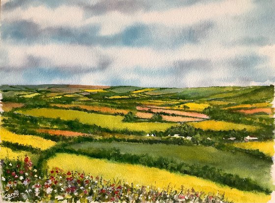 Summer landscape