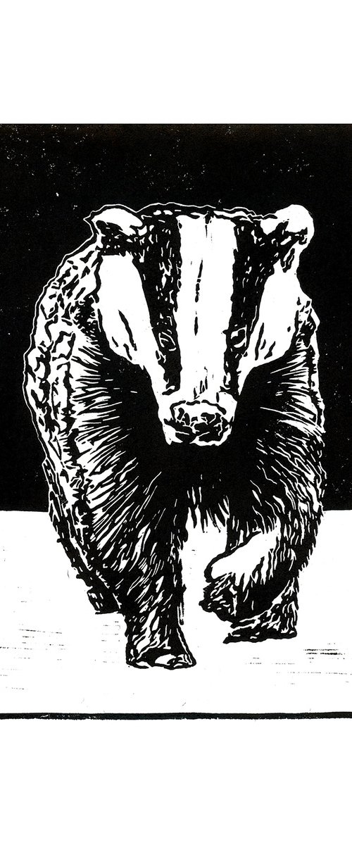 Badger by Bob Cooper