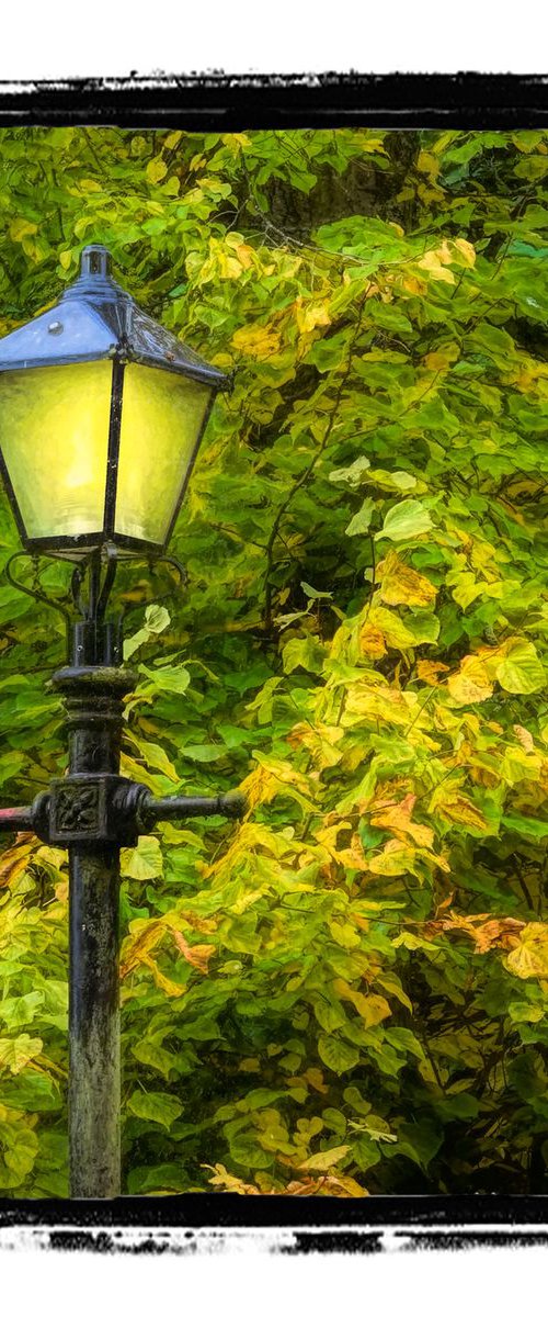 Autumn Street Lamp by Martin  Fry