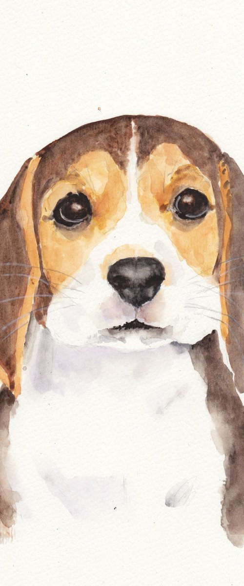 Cute Beagle Puppy Dog Portrait by MARJANSART