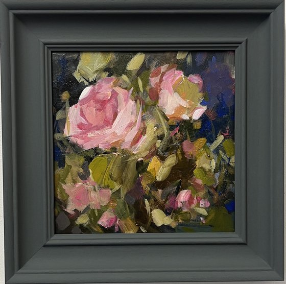 Glowing roses in sumshine