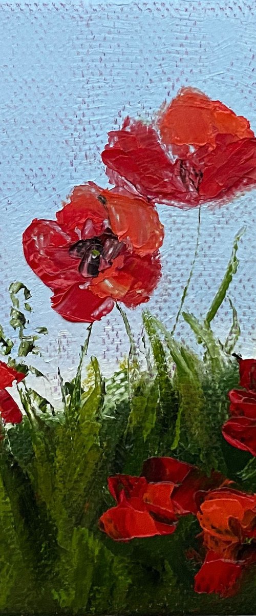 Poppies by Olga Kurbanova