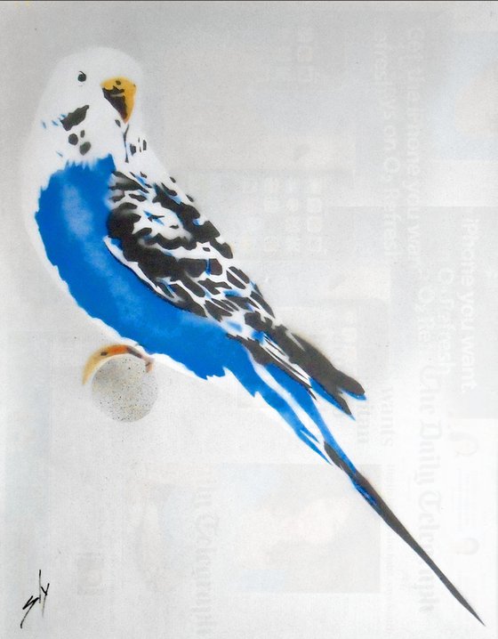 GRANDMA'S BUDGIE (UB).