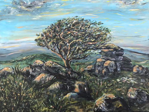 Saddle Tor Revisited by Lucy Smerdon