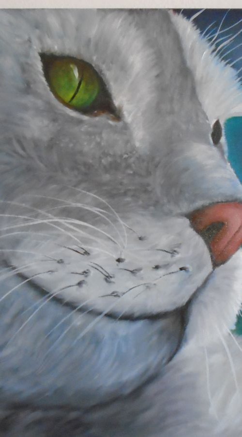 Meet the silver cat by Timea  Valsami
