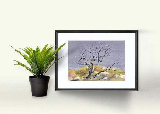 Desert tree in watercolor Arizona nature
