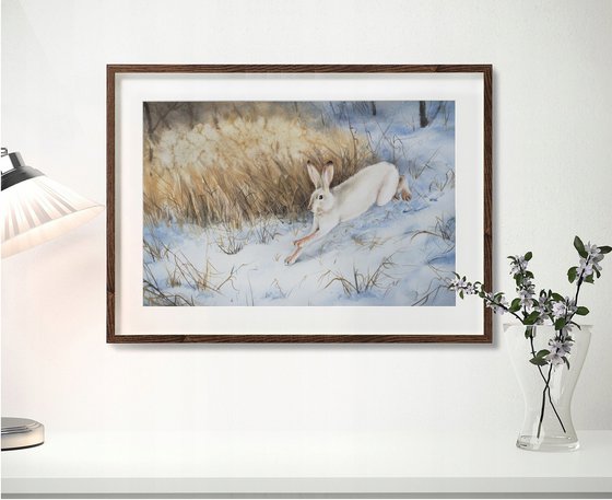 Snow Hare Running