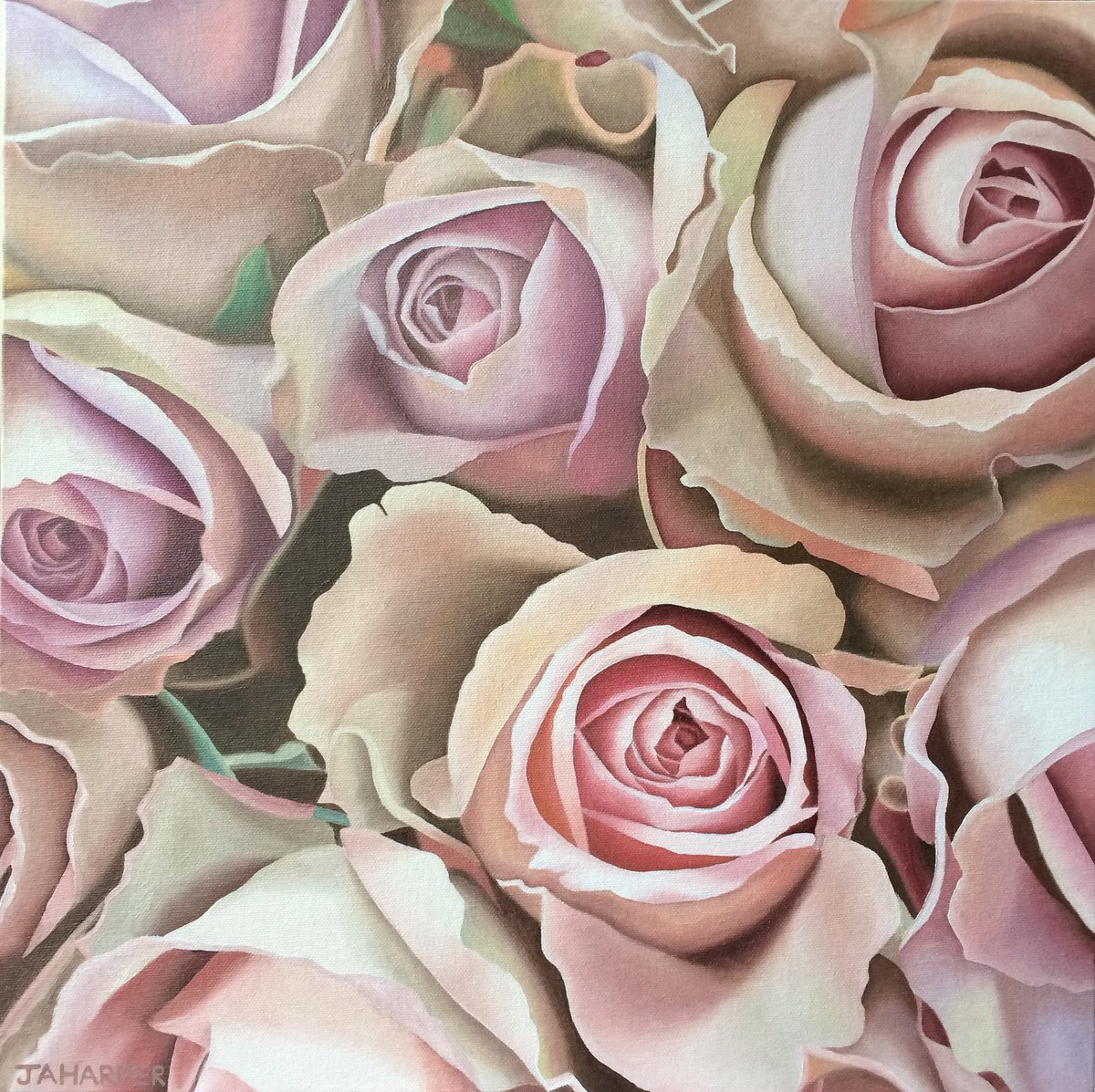 Photorealistic Botanical Oil Painting By Jill Ann Harper, 18 X 18, Cafe Latte Roses, Original Artwork