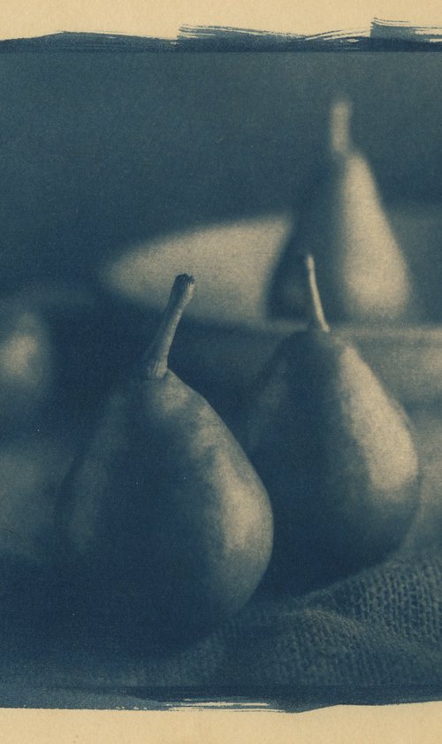 Four Pears by Robert Tolchin